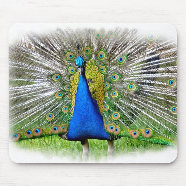 Alfombrilla De Ratón Peacock con plumas de cola camiseta (Frente)