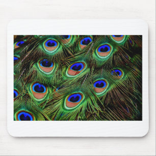 Alfombrilla De Ratón Peacock Feathers