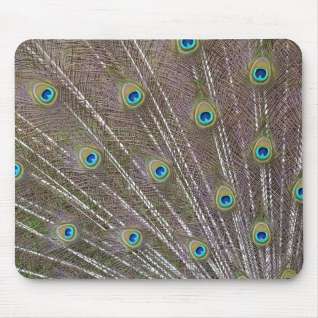 Alfombrilla De Ratón Peacock Feathers (Frente)