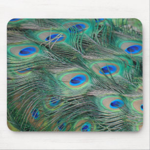 Alfombrilla De Ratón Peacock Feathers