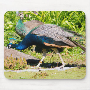 Alfombrilla De Ratón Peacock indio