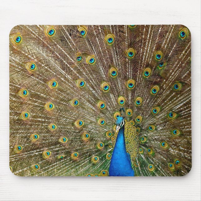 Alfombrilla De Ratón Peacock Tail Feathers (Frente)