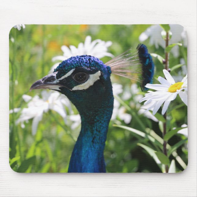 Alfombrilla De Ratón Peacock y Daisies Mouse Pad (Frente)