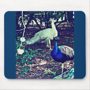 Alfombrilla De Ratón Peacocks vintage