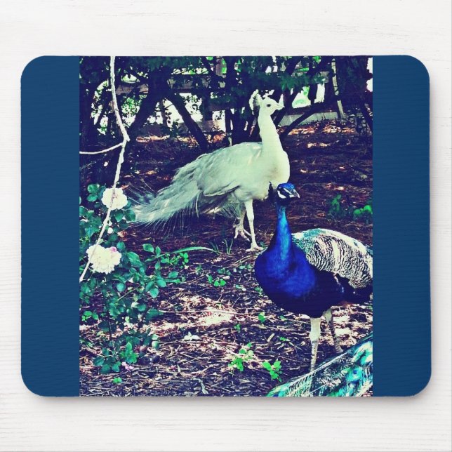 Alfombrilla De Ratón Peacocks vintage (Frente)