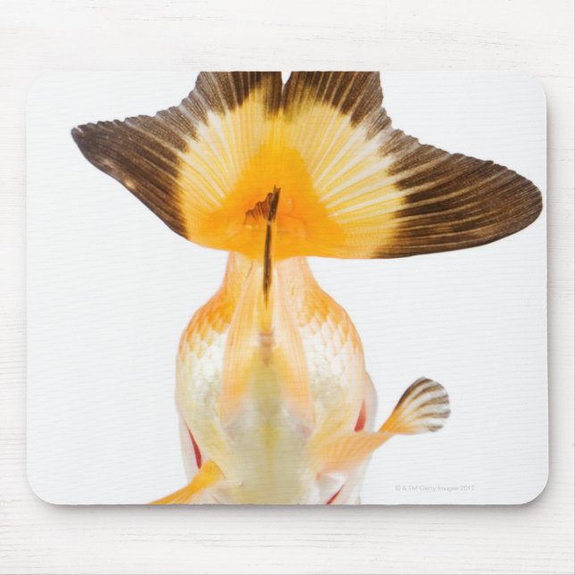 Alfombrilla De Ratón Peces de oro (Carassius auratus) 2 (Frente)