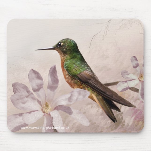 Alfombrilla De Ratón Pechicastaños Mousemat (Frente)