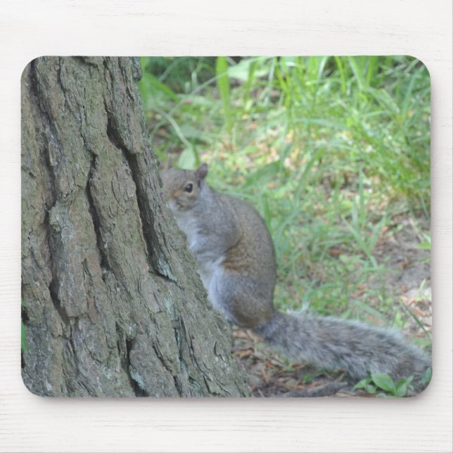 Alfombrilla De Ratón Peek A Boo Squirrel - (Frente)