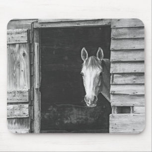 Alfombrilla De Ratón Peekaboo Gray Mare Horse
