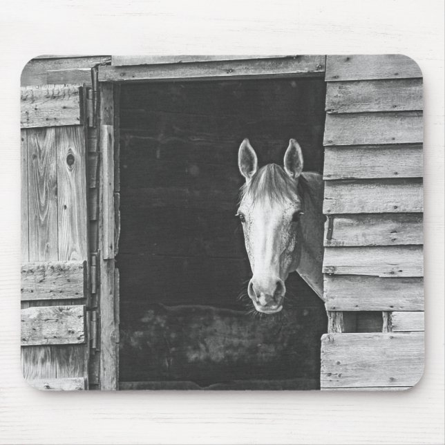 Alfombrilla De Ratón Peekaboo Gray Mare Horse (Frente)