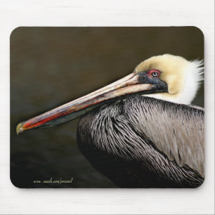 Alfombrilla De Ratón Pelican Mousepad