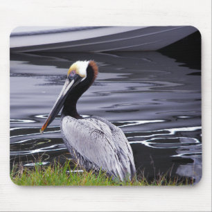 Alfombrilla De Ratón Pelican Poser