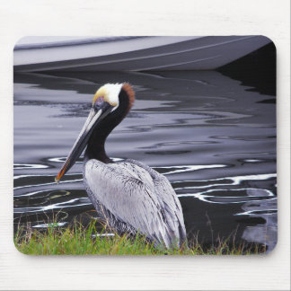 Alfombrilla De Ratón Pelican Poser
