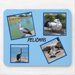 Alfombrilla De Ratón Pelicans The World Coolest Bird Four Photo Frames,