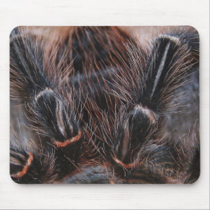 Alfombrilla De Ratón pelo de la araña