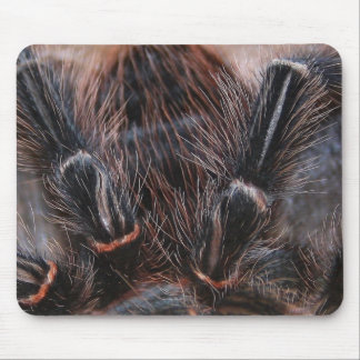 Alfombrilla De Ratón pelo de la araña