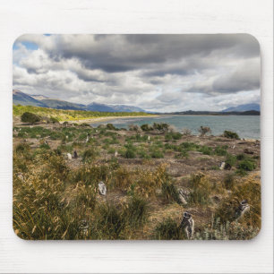 Alfombrilla De Ratón Penguinera