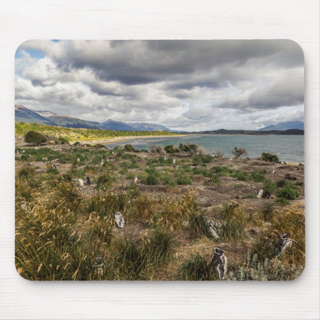 Alfombrilla De Ratón Penguinera (Frente)