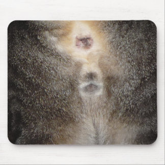 Alfombrilla De Ratón Pensamiento en usted gato Mousepad