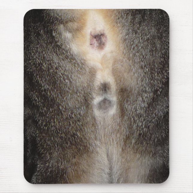 Alfombrilla De Ratón Pensamiento en usted gato Mousepad (Frente)