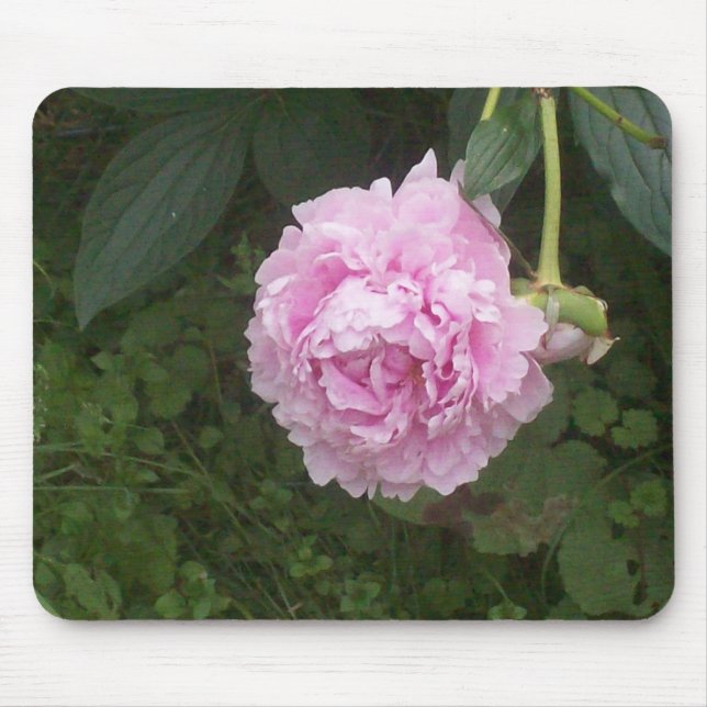 Alfombrilla De Ratón Peonies rosados (Frente)