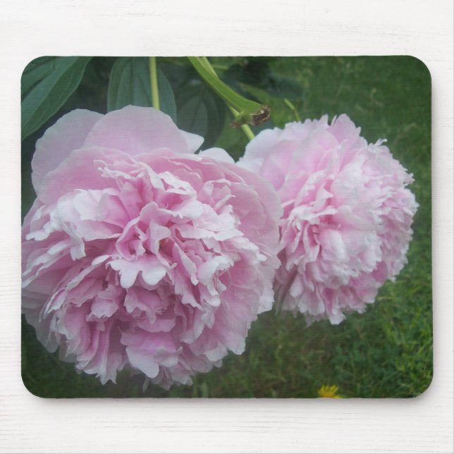 Alfombrilla De Ratón Peonies rosados (Frente)