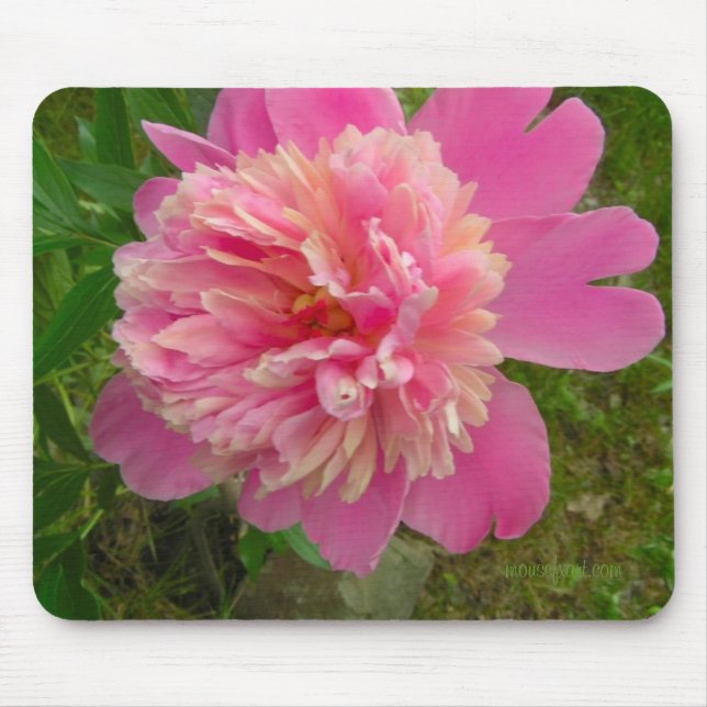 Alfombrilla De Ratón Peony Mousepad (Frente)