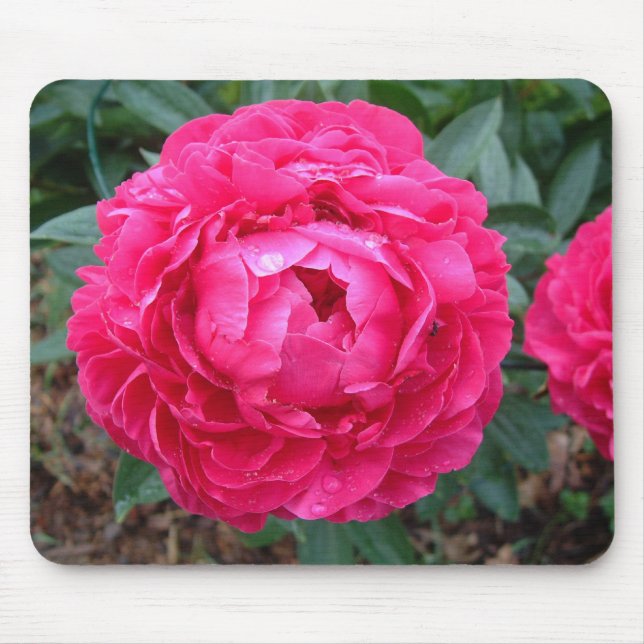 Alfombrilla De Ratón Peony Mousepad (Frente)
