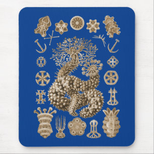Alfombrilla De Ratón Pepinos de mar