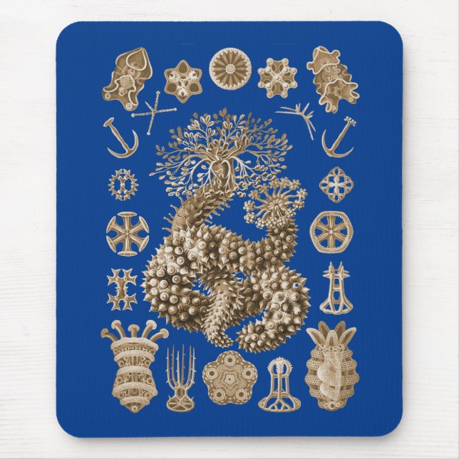 Alfombrilla De Ratón Pepinos de mar (Frente)