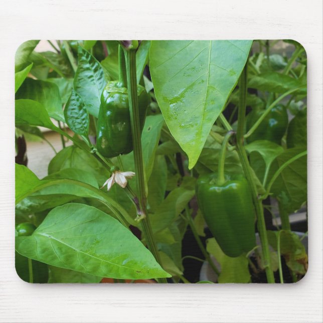 Alfombrilla De Ratón Peppers verdes (Frente)