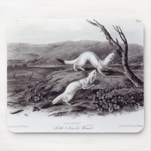 Alfombrilla De Ratón Pequeña comadreja ágil (Frente)