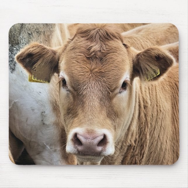 ALFOMBRILLA DE RATÓN PEQUEÑO CALF (Frente)