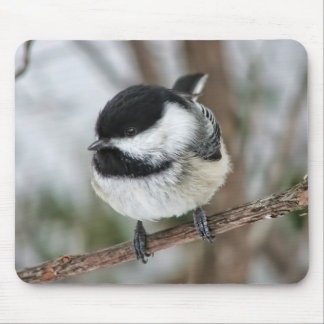 Alfombrilla De Ratón Pequeño Chickadee lindo