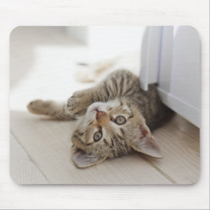 Alfombrilla De Ratón Pequeño gatito lindo