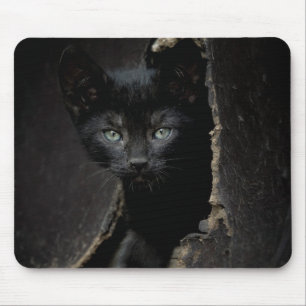 Alfombrilla De Ratón Pequeño gatito negro
