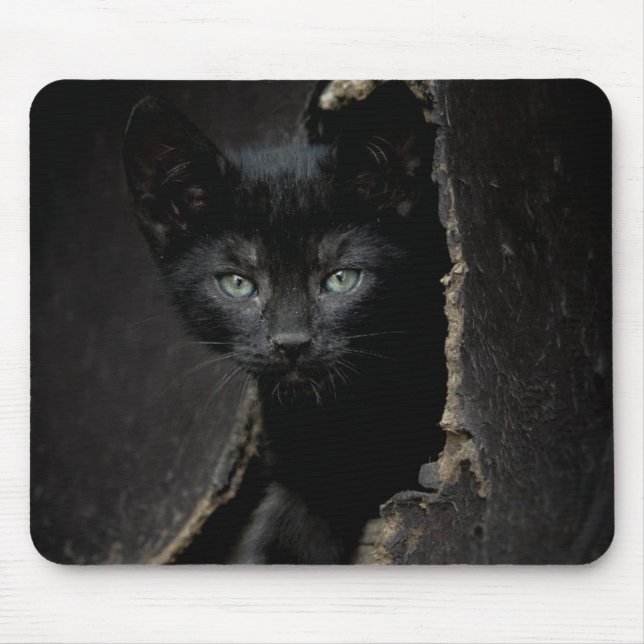 Alfombrilla De Ratón Pequeño gatito negro (Frente)