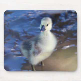 Alfombrilla De Ratón Pequeño Gosling Mousepad
