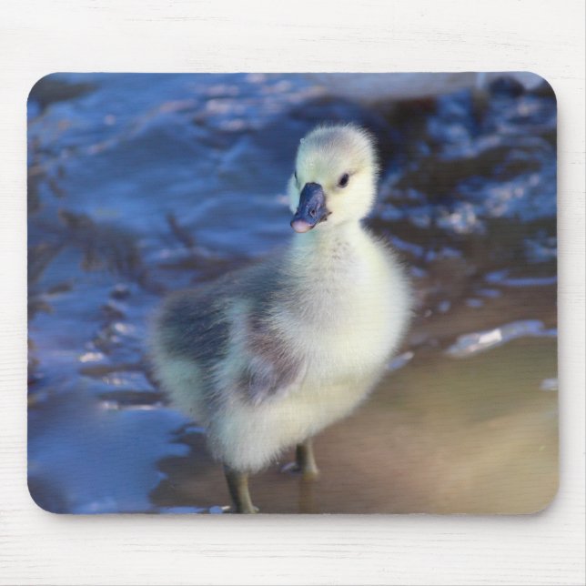 Alfombrilla De Ratón Pequeño Gosling Mousepad (Frente)