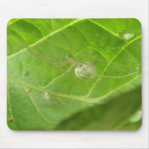 Alfombrilla De Ratón Pequeño Mousepad de araña