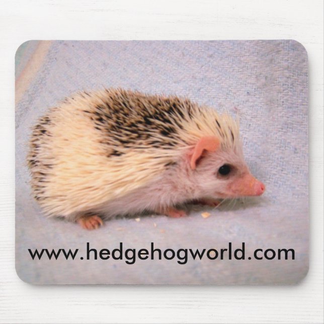 Alfombrilla De Ratón Pequeño mousepad del pinto (Frente)