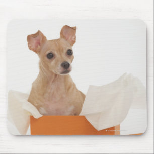 Alfombrilla De Ratón Pequeño perro que se sienta en caja de regalo