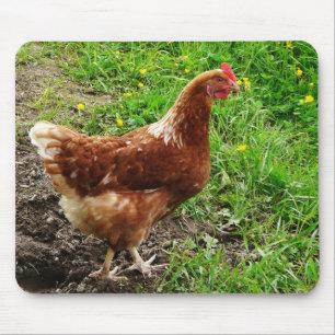 Alfombrilla De Ratón Pequeño pollo rojo - capa libre del huevo de la