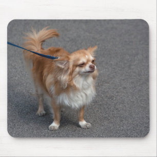Alfombrilla De Ratón Pequeño Redhead