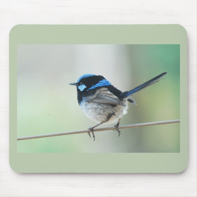 Alfombrilla De Ratón Pequeño Wren azul (magnífico fairywren) Australia (Frente)