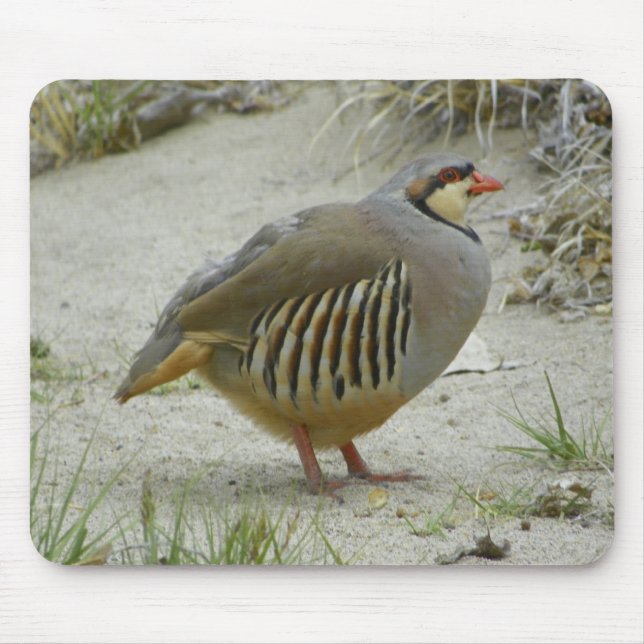 Alfombrilla De Ratón Perdiz de Chukar (Frente)
