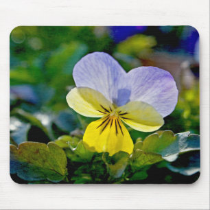 Alfombrilla De Ratón Perfección de pansy