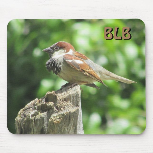 Alfombrilla De Ratón Perfil de House Sparrow sobre trozos con sus inici (Frente)