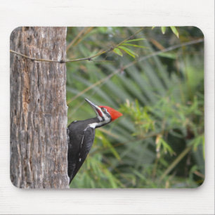 Alfombrilla De Ratón Perfil de pájaro carpintero macho adulto con perfi