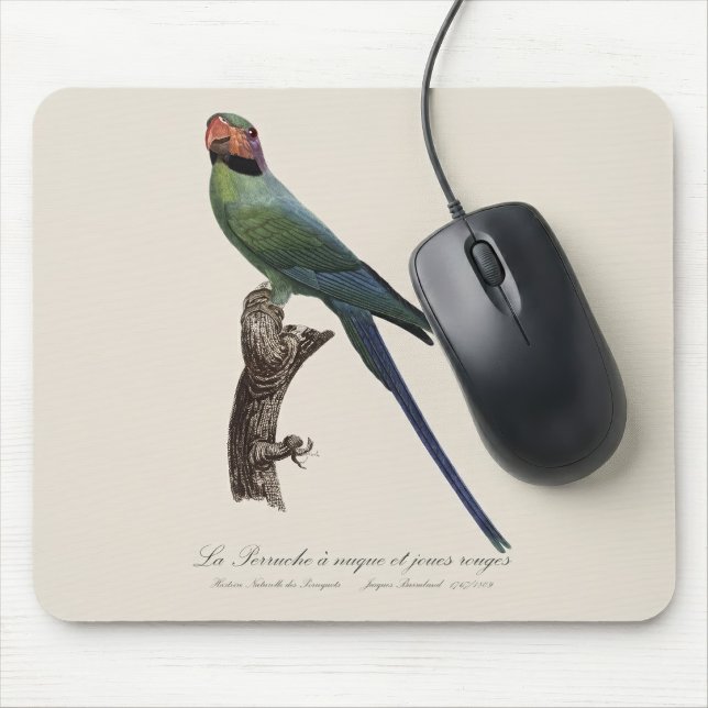 Alfombrilla De Ratón Perico Colilargo, Psittacula Longicauda (Long-Tailed Parakeet, Psittacula Longicauda. Mouse Pad)